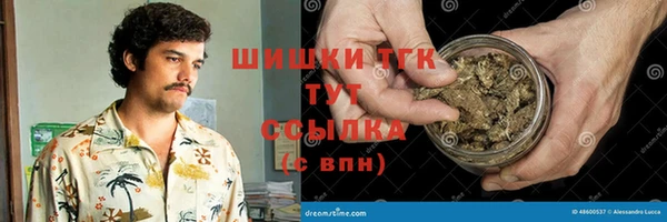 гашик Алексеевка