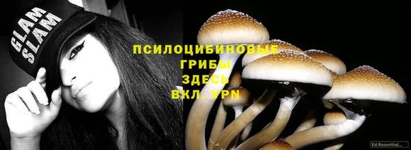 гашик Алексеевка