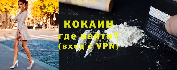 гашик Алексеевка