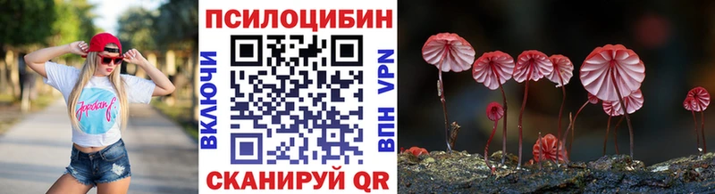 OMG ССЫЛКА Апатиты Псилоцибиновые грибы мицелий