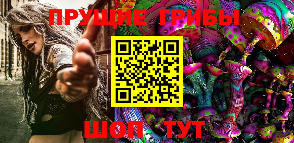 Псилоцибиновые грибы Psilocybine cubensis  Псилоцибиновые грибы MAGIC MUSHROOMS  Апатиты  Вход с VPN 